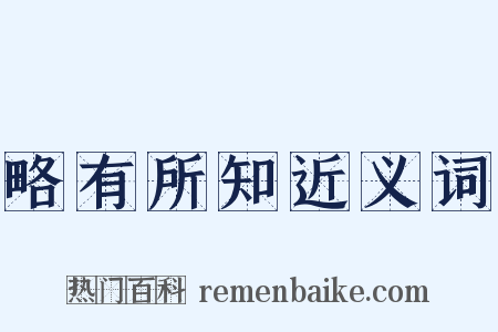 略有所知近义词是什么意思的图片